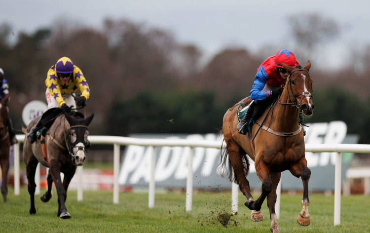 Leopardstown Christmas Festival races, results, tips and runners