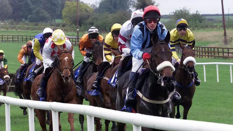 Limerick best bet (1615): The Goffer all set to relish shorter trip in conditions to suit