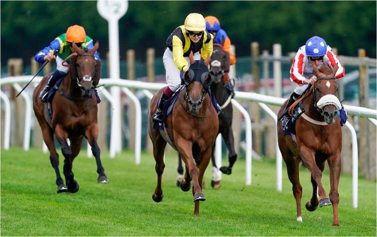 Lucky 15 Tips Today: Tuesday's best bets across the tracks