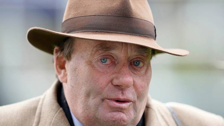 Nicky Henderson's new £350,000 'superstar' with brilliant name set to make 'spectacular' debut on Saturday
