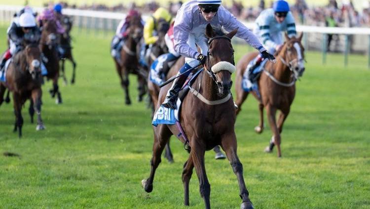 Oscar for O’Hanlons as Top of the Hill crew enjoy success at Newmarket