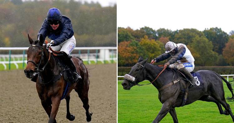 Punter lands £77k after backing 150-1 and 125-1 winners in 'ridiculous' Lingfield acca
