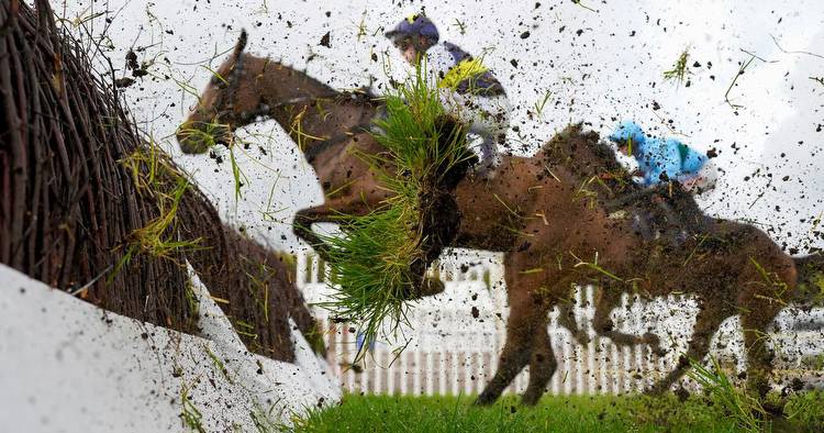 Punter turns £20 into £75,000 after winning streak on the horses at odds of over 12,000-1
