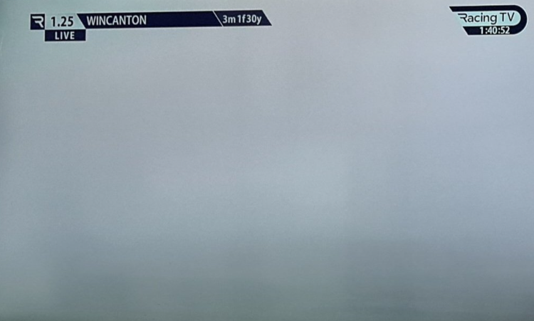 punters slam 'ridiculous' Wincanton racing as fog means no one can see anything