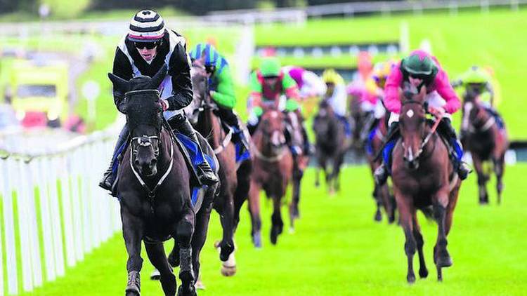 Roscommon report: Grachus De Balme claims win with rock-solid display