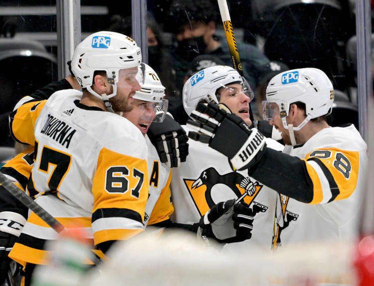 San Jose Sharks vs Pittsburgh Penguins 1/15/22 NHL Picks, Predictions, Odds