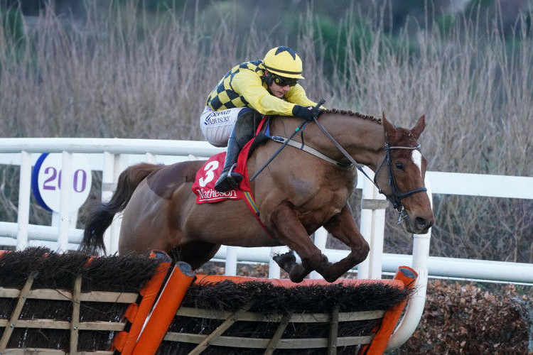 State Man the impressive winner as Ireland's best two-mile hurdlers do battle at Leopardstown