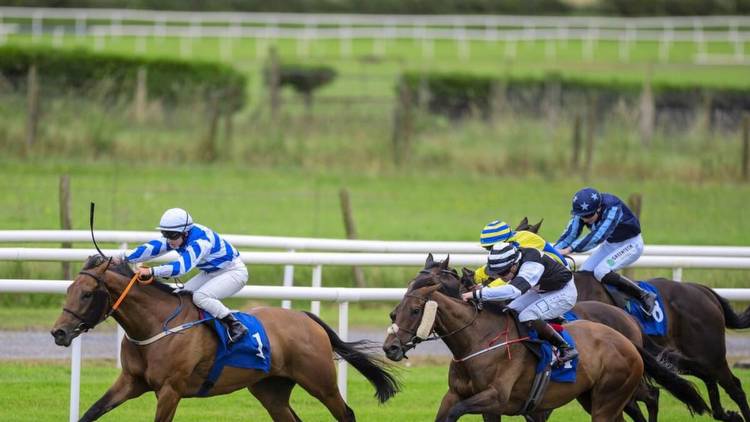 Strong week of local winners for Tipp trainers and jockeys