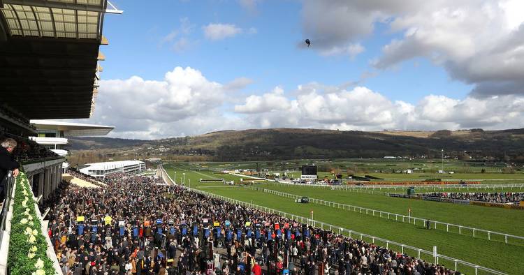 The full Cheltenham Gold Cup runners and riders and latest odds