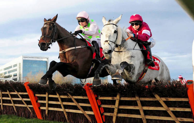 The Leopardstown Christmas Festival: day-by-day guide