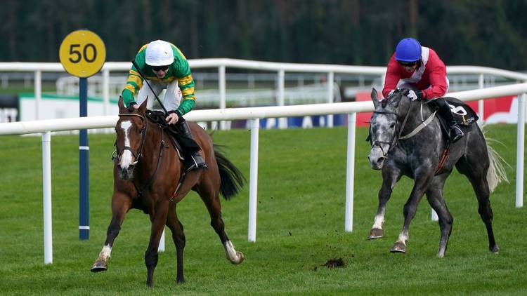Timeform Horses to Follow over jumps in 2023/24: Tullyhill