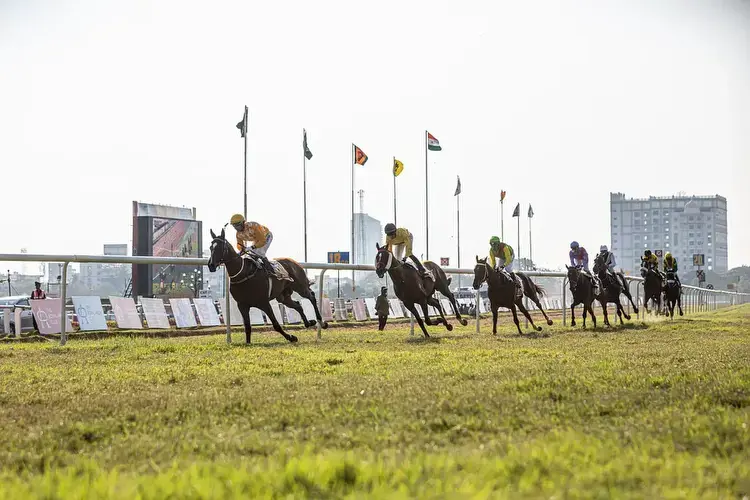 Tips For Analyzing Winning Horses In The Dubai World Cup