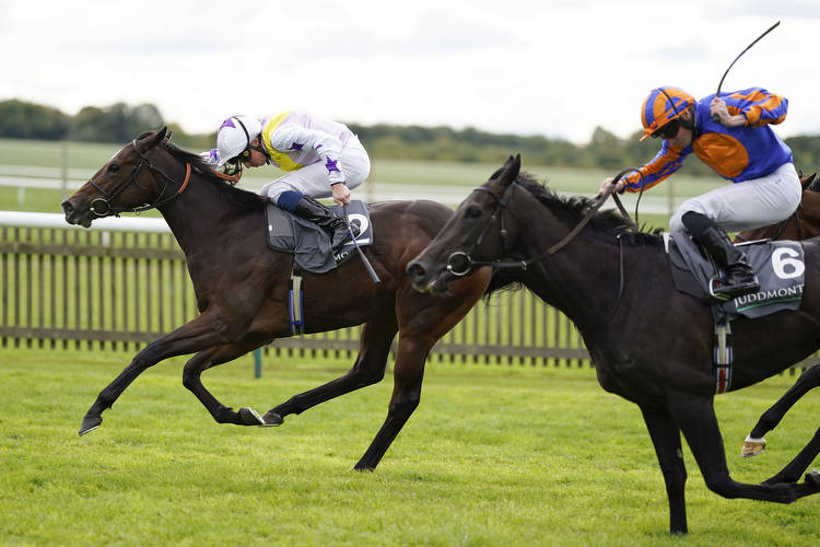 Tom Lunn's Saturday racing tips: Newbury and the Curragh