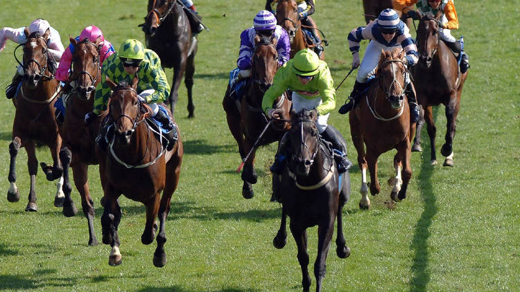 Tuesday racing tips for all eight evening races at Roscommon