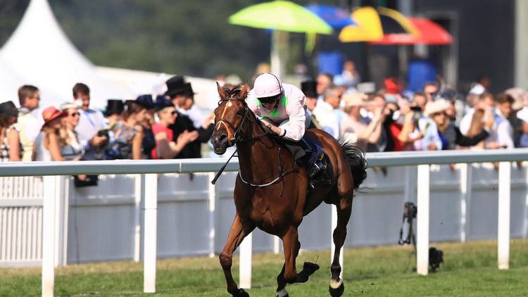 we help you find the winner of the Queen Alexandra Stakes live on ITV4