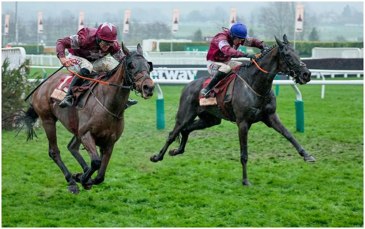 When is the Cross Country Chase? Cheltenham date, time, runners, betting