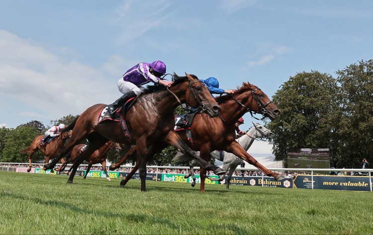 When is the Irish Cesarewitch? Curragh date, time, runners, betting