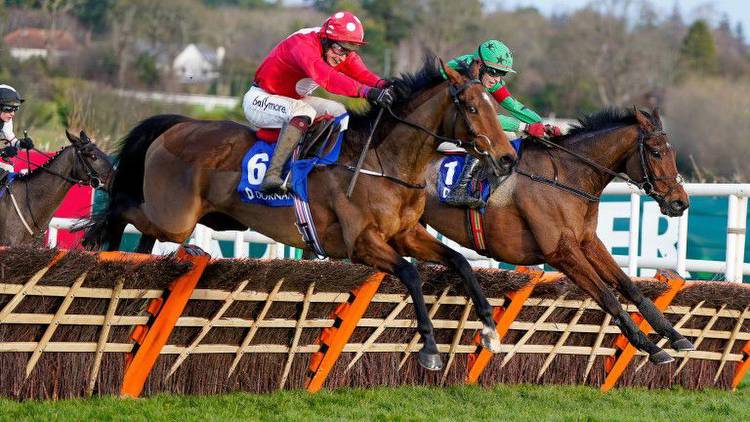 Who is the value bet in the Stayers' Hurdle? Three experts have their say