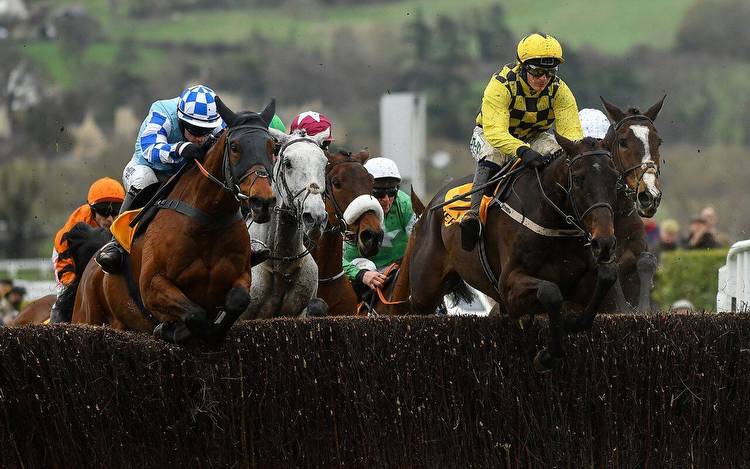 Willie Mullins Cheltenham 2023: Previous winners, latest odds and entries for this year’s Festival